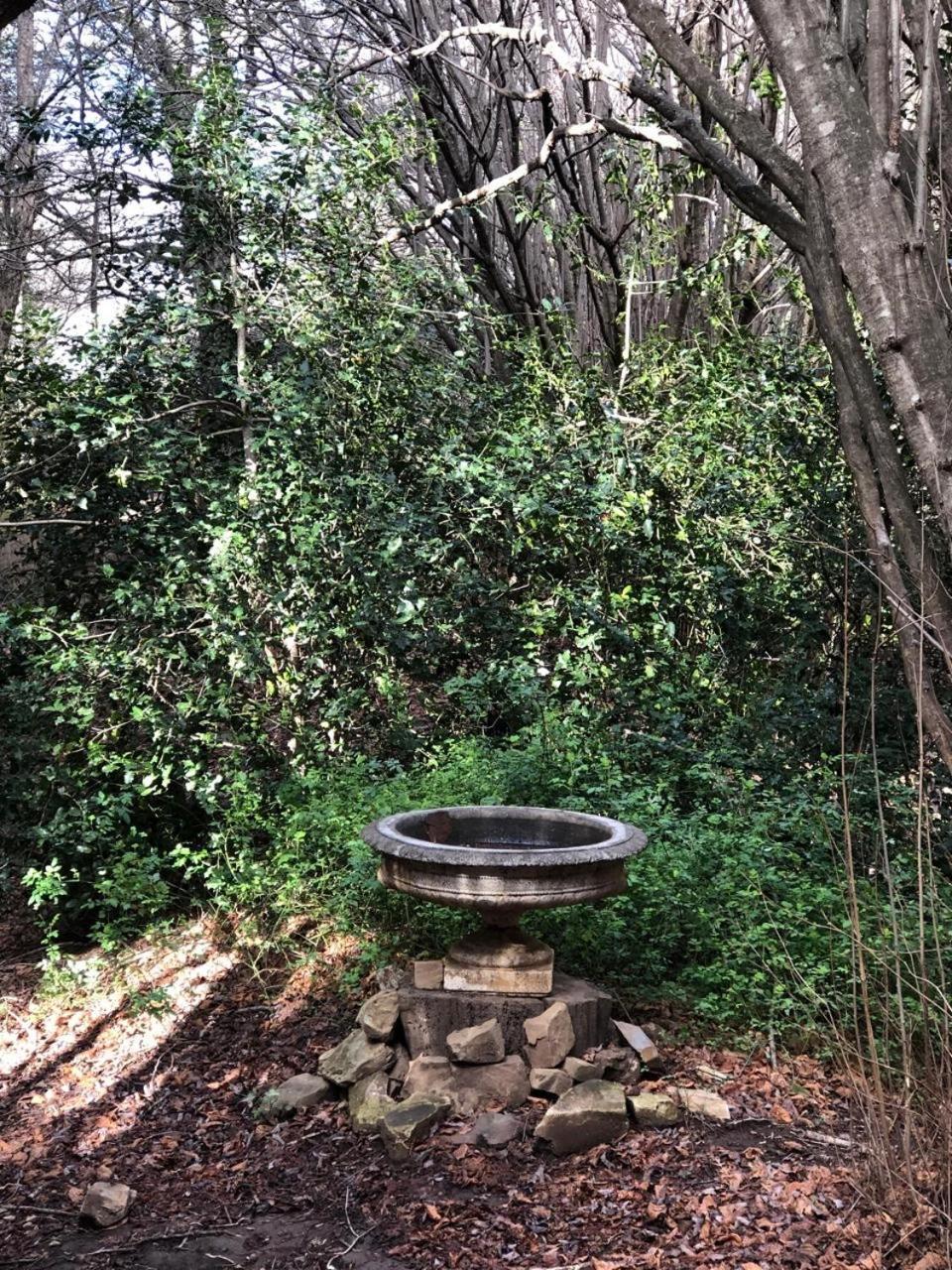 Back O' The Moon Holiday Cottage Hogsback Exterior foto